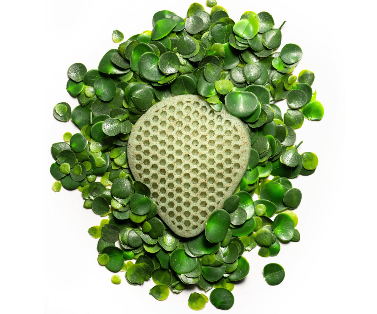 Moringa
