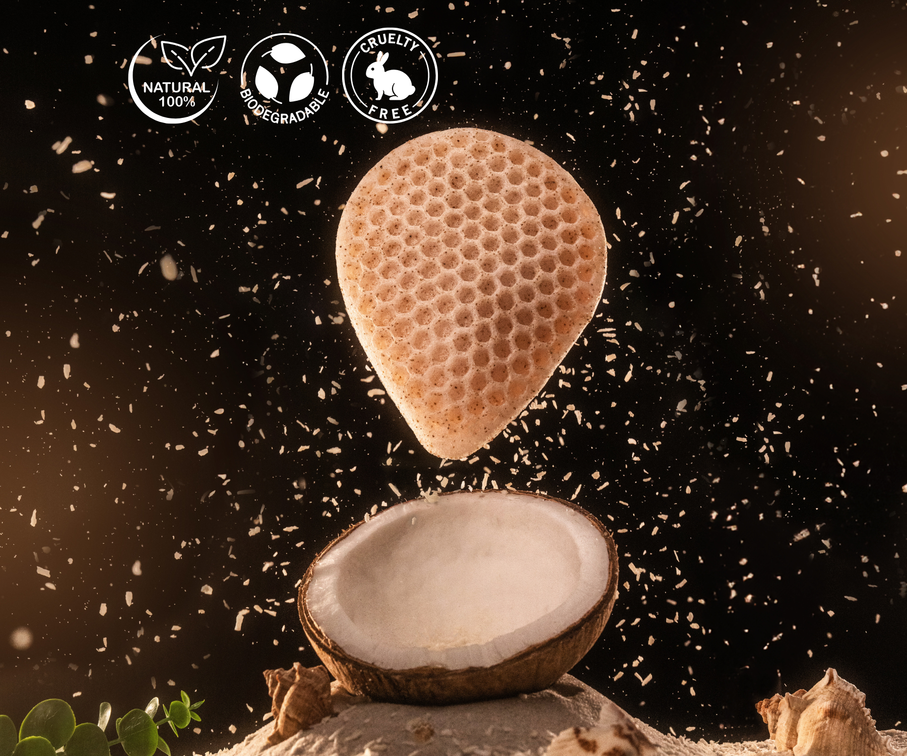 Coconut