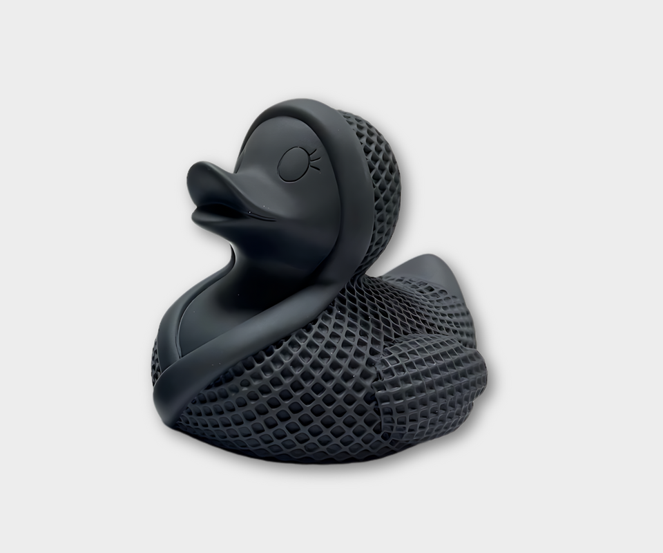 The Duck